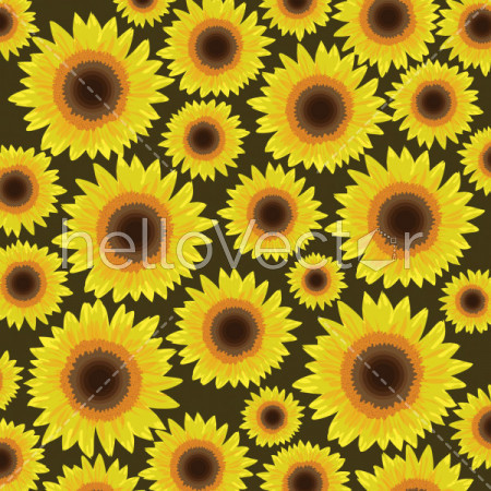 Sunflower seamless pattern background - Vector illustration